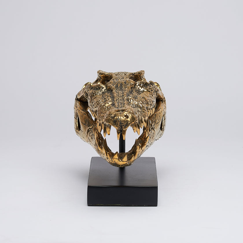 Crocodile Skull Saltwater Polished Bronze - Medium