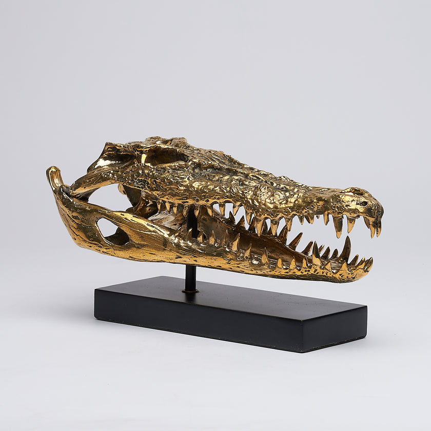 Crocodile Skull Saltwater Polished Bronze - Medium