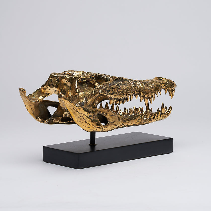 Crocodile Skull Saltwater Polished Bronze - Medium