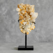 Beautiful Quartz Crystal cluster on a custom stand CC/144