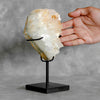 Beautiful Quartz Crystal cluster on a custom stand CC/092