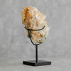 Beautiful Quartz Crystal cluster on a custom stand CC/131