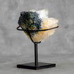 Beautiful Quartz Crystal cluster on a custom stand CC/275