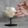 Beautiful Quartz Crystal cluster on a custom stand CC/275