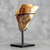 Beautiful Quartz Crystal cluster on a custom stand CC/274