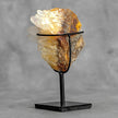 Beautiful Quartz Crystal cluster on a custom stand CC/274