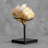 Beautiful Quartz Crystal cluster on a custom stand CC/286