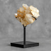 Beautiful Quartz Crystal cluster on a custom stand CC/286