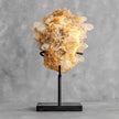 Beautiful Quartz Crystal cluster on a custom stand CC/271