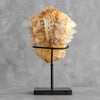 Beautiful Quartz Crystal cluster on a custom stand CC/271