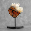 Beautiful Quartz Crystal cluster on a custom stand CC/282