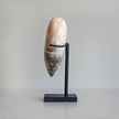 Wonderful Petrified Wood Heart-Shaped on a Custom Stand PetW/124