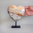 Wonderful Petrified Wood Heart-Shaped on a Custom Stand PetW/124