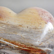 Wonderful Petrified Wood Heart-Shaped on a Custom Stand PetW/124