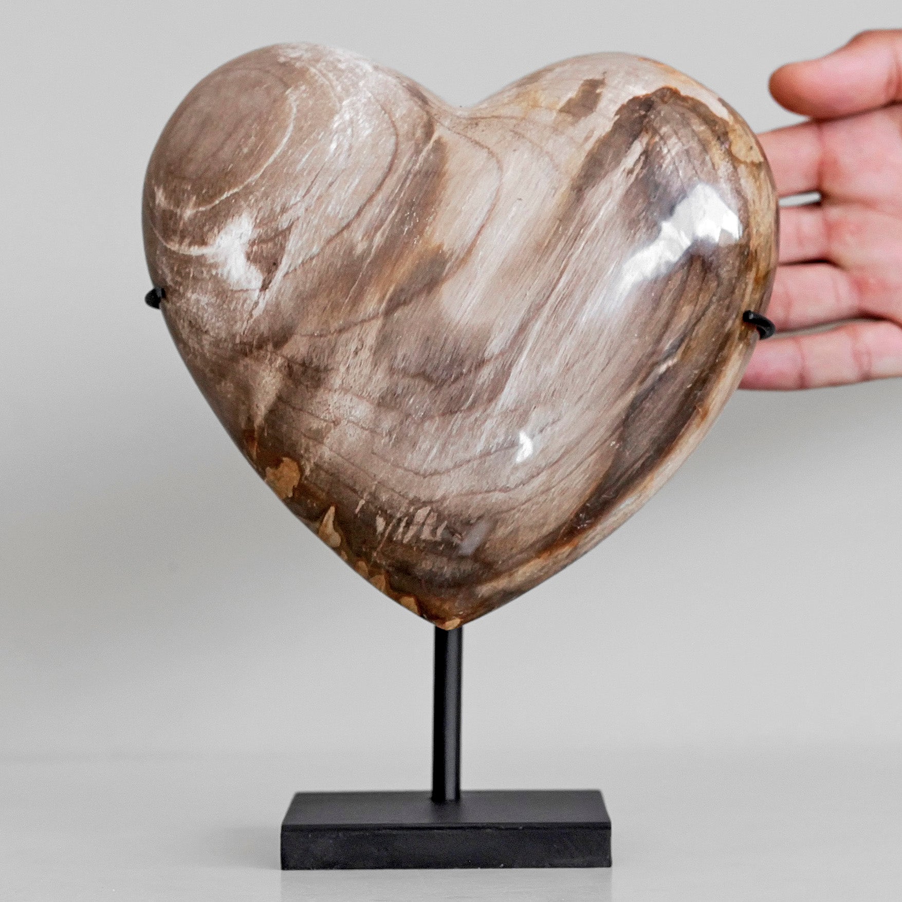 Wonderful Petrified Wood Heart-Shaped on a Custom Stand PWH/109