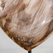 Wonderful Petrified Wood Heart-Shaped on a Custom Stand PWH/109