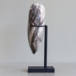 Wonderful Petrified Wood Heart-Shaped on a Custom Stand PWH/108