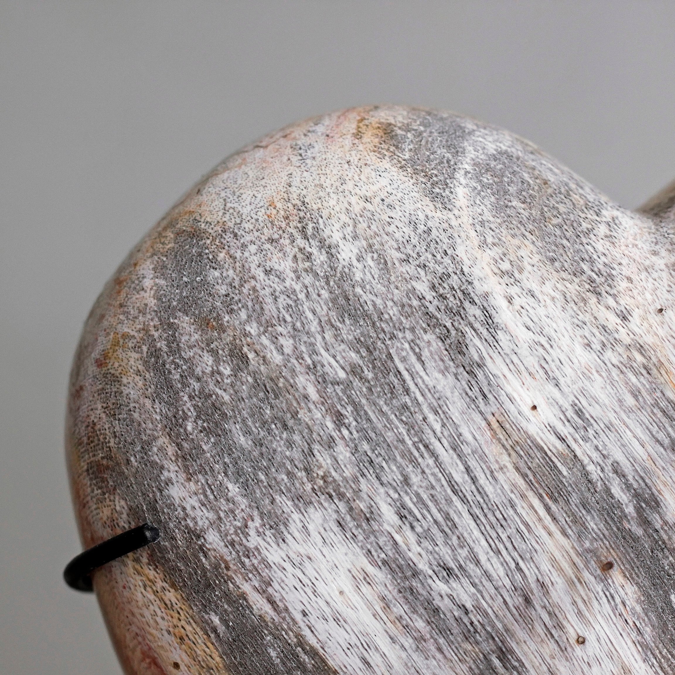 Wonderful Petrified Wood Heart-Shaped on a Custom Stand PWH/113