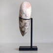 Wonderful Petrified Wood Heart-Shaped on a Custom Stand PWH/116