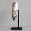 Wonderful Petrified Wood Heart-Shaped on a Custom Stand PWH/115