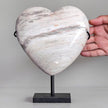 Wonderful Petrified Wood Heart-Shaped on a Custom Stand PWH/120