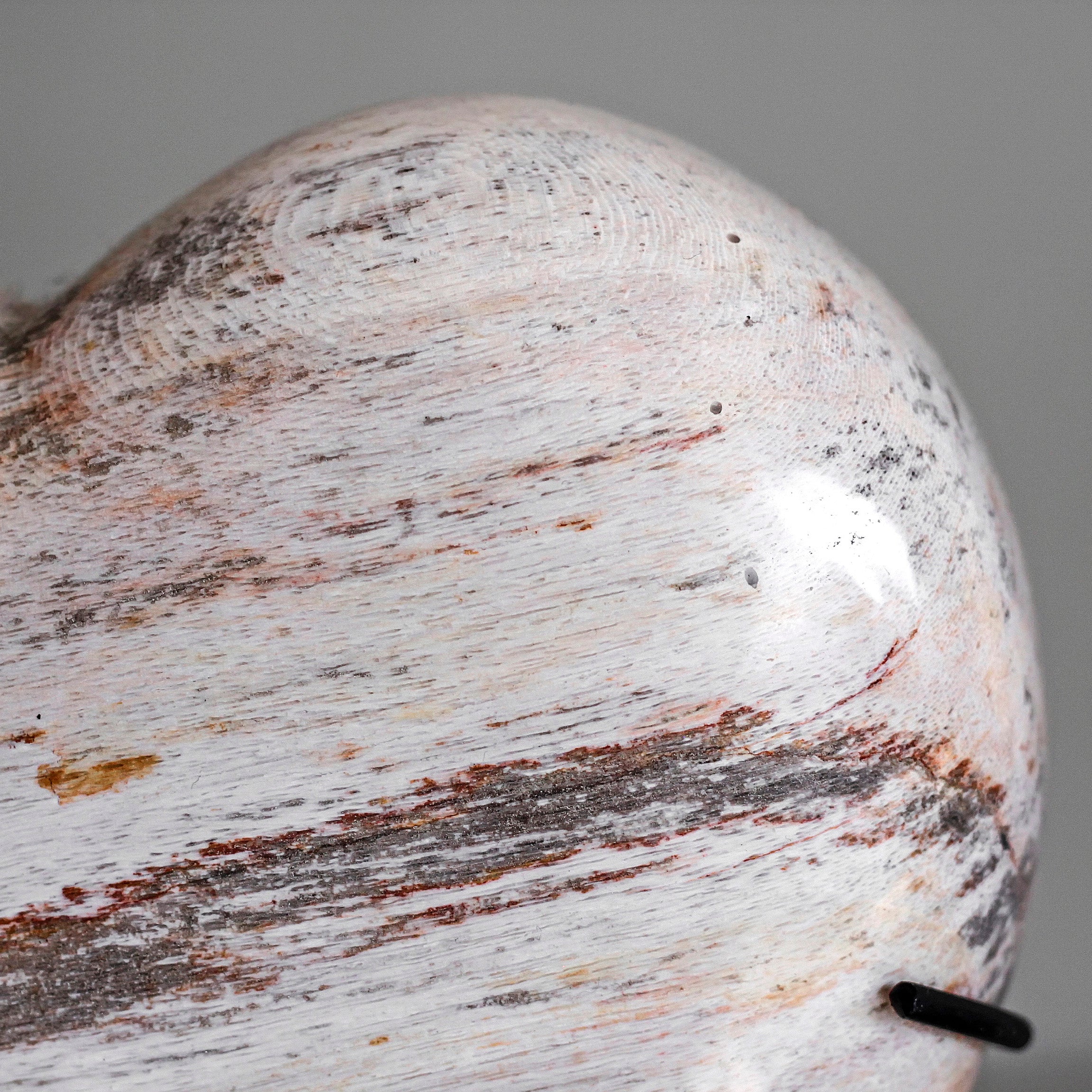 Wonderful Petrified Wood Heart-Shaped on a Custom Stand PWH/120