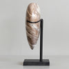 Wonderful Petrified Wood Heart-Shaped on a Custom Stand PWH/118