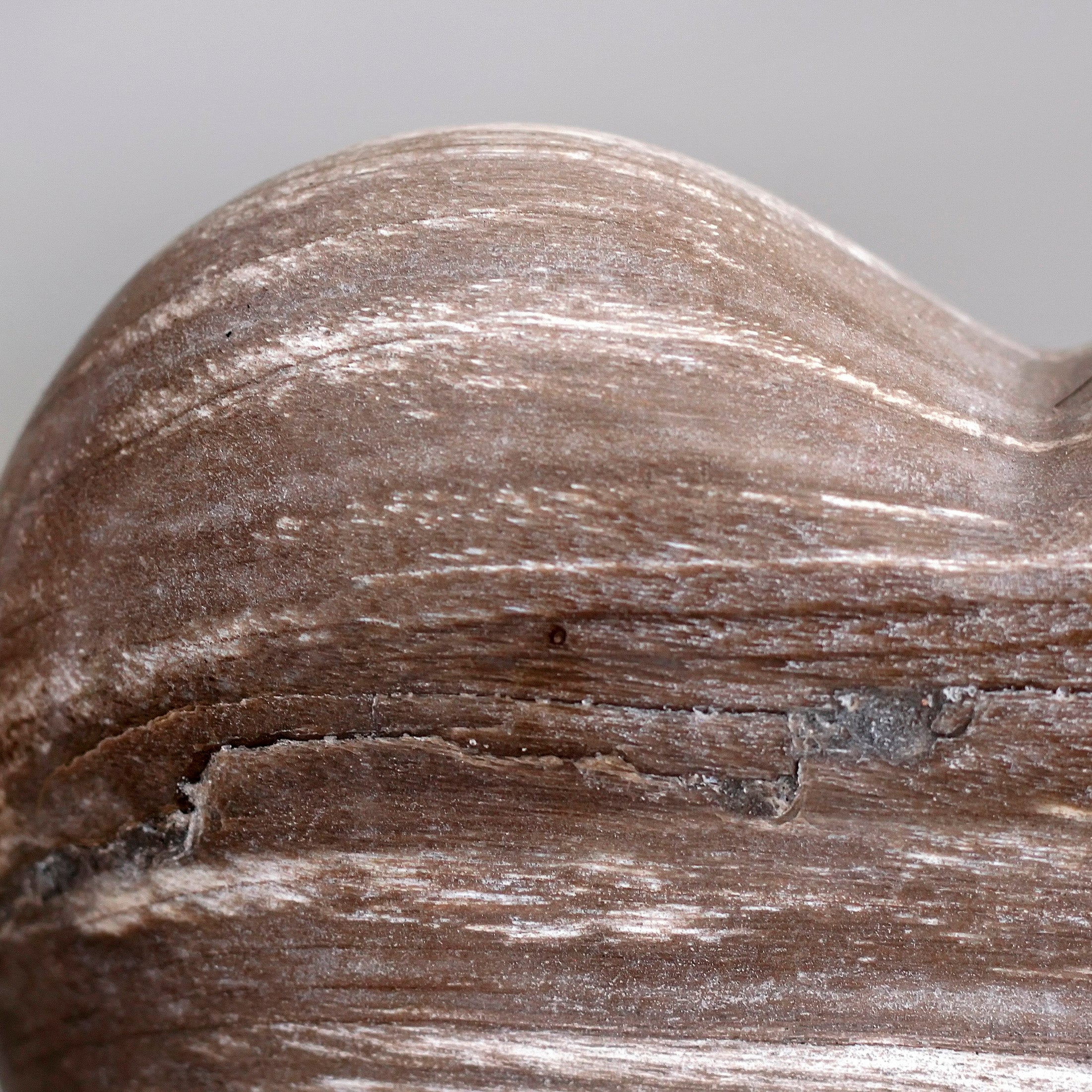 Wonderful Petrified Wood Heart-Shaped on a Custom Stand PWH/118