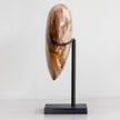 Wonderful Petrified Wood Heart-Shaped on a Custom Stand PWH/112