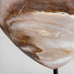 Wonderful Petrified Wood Heart-Shaped on a Custom Stand PWH/112