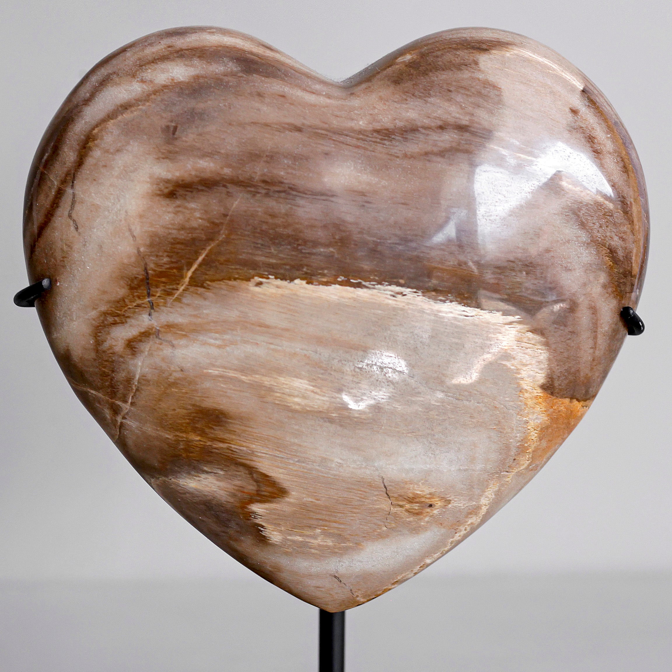 Wonderful Petrified Wood Heart-Shaped on a Custom Stand PWH/112