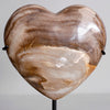 Wonderful Petrified Wood Heart-Shaped on a Custom Stand PWH/112