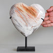 Wonderful Petrified Wood Heart-Shaped on a Custom Stand PWH/111