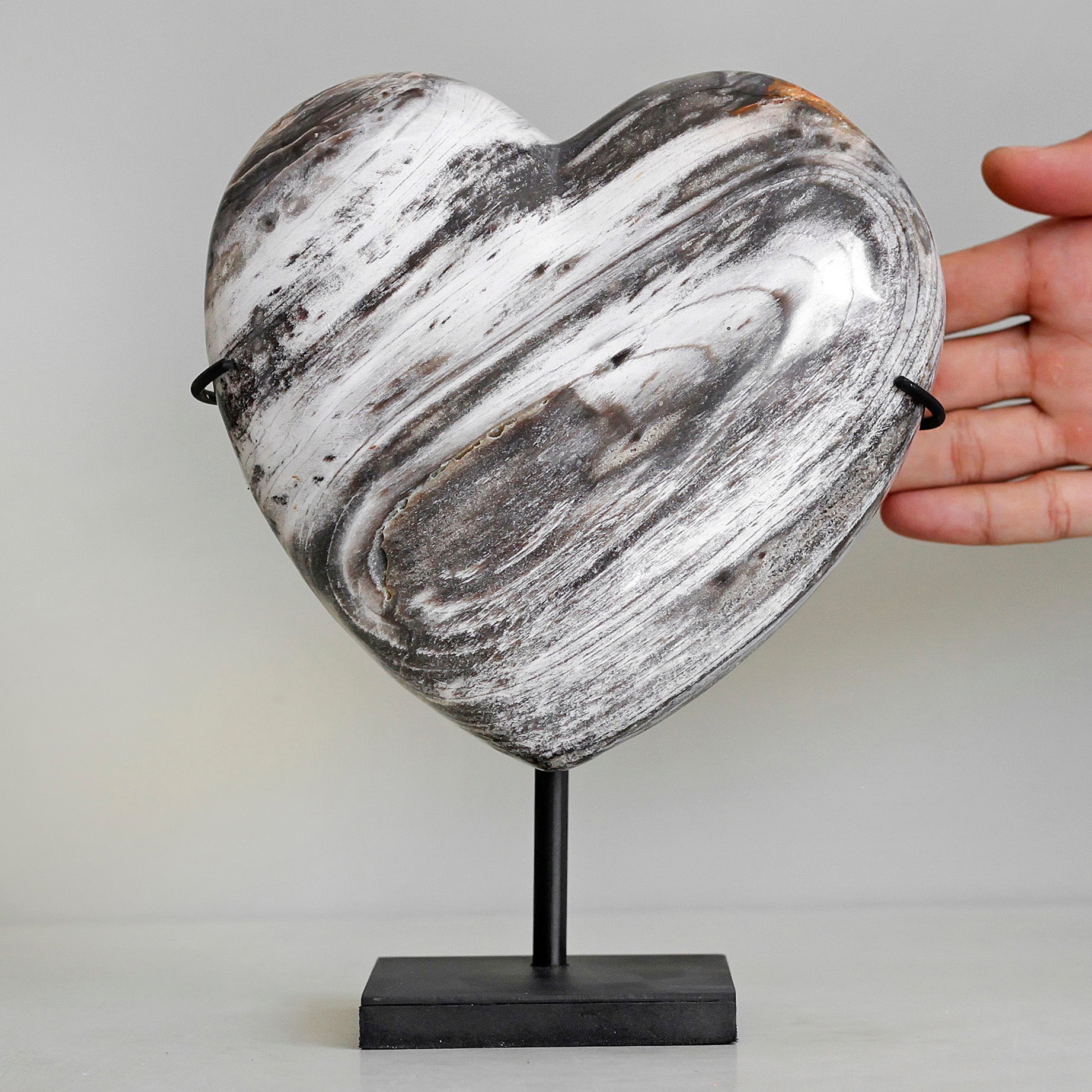 Wonderful Petrified Wood Heart-Shaped on a Custom Stand PWH/123