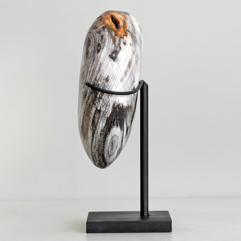 Wonderful Petrified Wood Heart-Shaped on a Custom Stand PWH/123