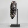 Wonderful Petrified Wood Heart-Shaped on a Custom Stand PWH/124