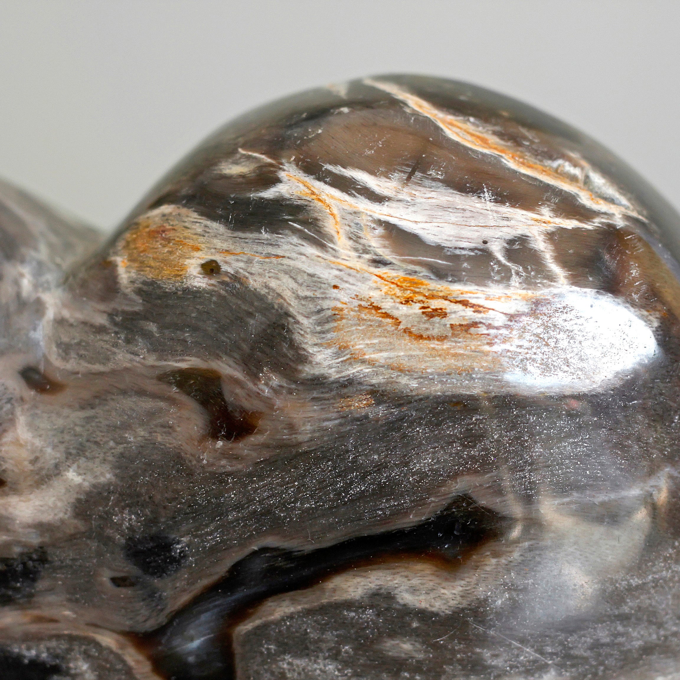 Wonderful Petrified Wood Heart-Shaped on a Custom Stand PWH/124