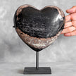 Wonderful Petrified Wood Heart-Shaped on a Custom Stand PWH/110