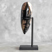 Wonderful Petrified Wood Heart-Shaped on a Custom Stand PWH/110