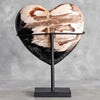 Wonderful Petrified Wood Heart-Shaped on a Custom Stand PWH/110