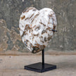 Wonderful Zebra Crystal Heart-Shaped on a custom stand CH/003