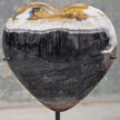 Wonderful Petrified Wood Heart-Shaped on a Custom Stand PWH/020