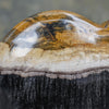 Wonderful Petrified Wood Heart-Shaped on a Custom Stand PWH/020