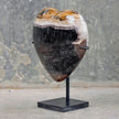 Wonderful Petrified Wood Heart-Shaped on a Custom Stand PWH/020