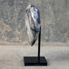 Wonderful Petrified Wood Heart-Shaped on a Custom Stand PWH/016