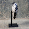 Wonderful Petrified Wood Heart-Shaped on a Custom Stand PWH/016