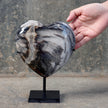 Wonderful Petrified Wood Heart-Shaped on a Custom Stand PWH/016