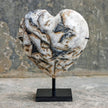 Wonderful Zebra Crystal Heart-Shaped on a custom stand CH/091