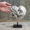 Wonderful Zebra Crystal Heart-Shaped on a custom stand CH/091