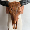 Real Carved Buffalo Skull 20/EX/236